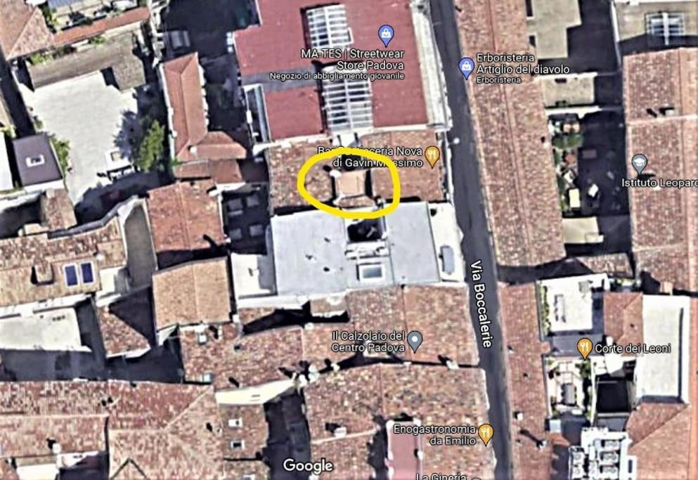 Residence Dei Frutti Pieno Centro - Il Cedro بادوفا المظهر الخارجي الصورة